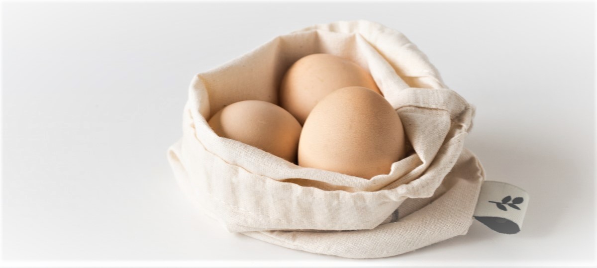 Wartości. budowa i składniki jajek kurzych