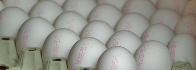 Oznaczenia na jajkach kurzych - co oznaczają numery na skorupce